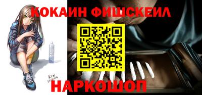 индика Гатчина