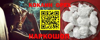 крисы Гагарин