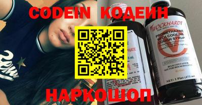 индика Гатчина