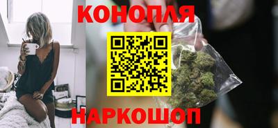 индика Гатчина