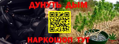 индика Гатчина