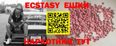 индика Гатчина