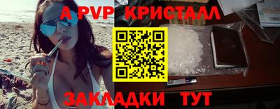 индика Гатчина