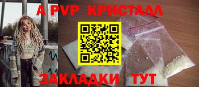 индика Гатчина