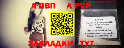 крисы Гагарин