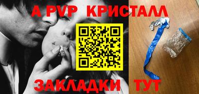 индика Гатчина