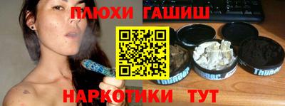 индика Гатчина