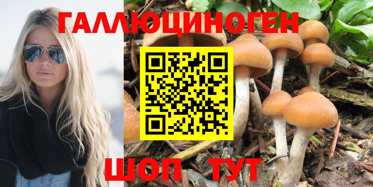 Псилоцибиновые грибы MAGIC MUSHROOMS Междуреченск