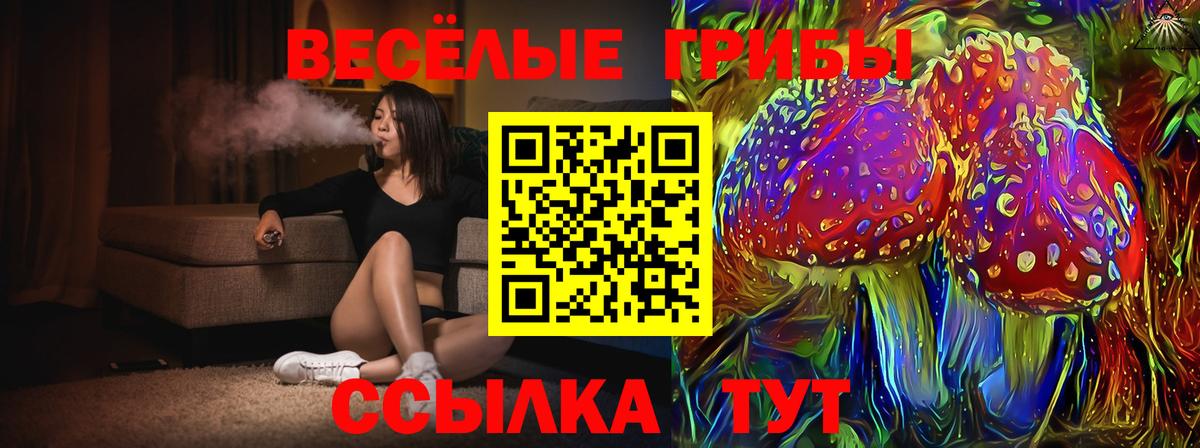Галлюциногенные грибы прущие грибы  Вход с VPN  Междуреченск  Галлюциногенные грибы ЛСД 